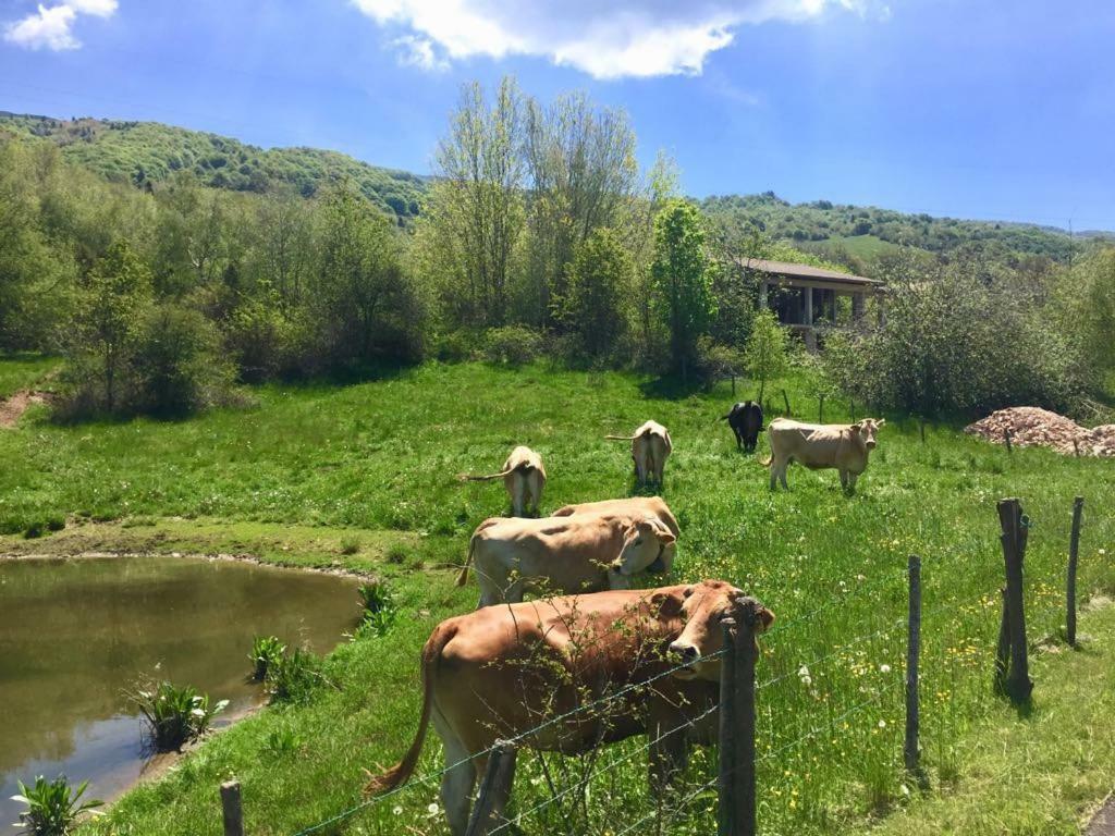 Hostel Monte Baldo